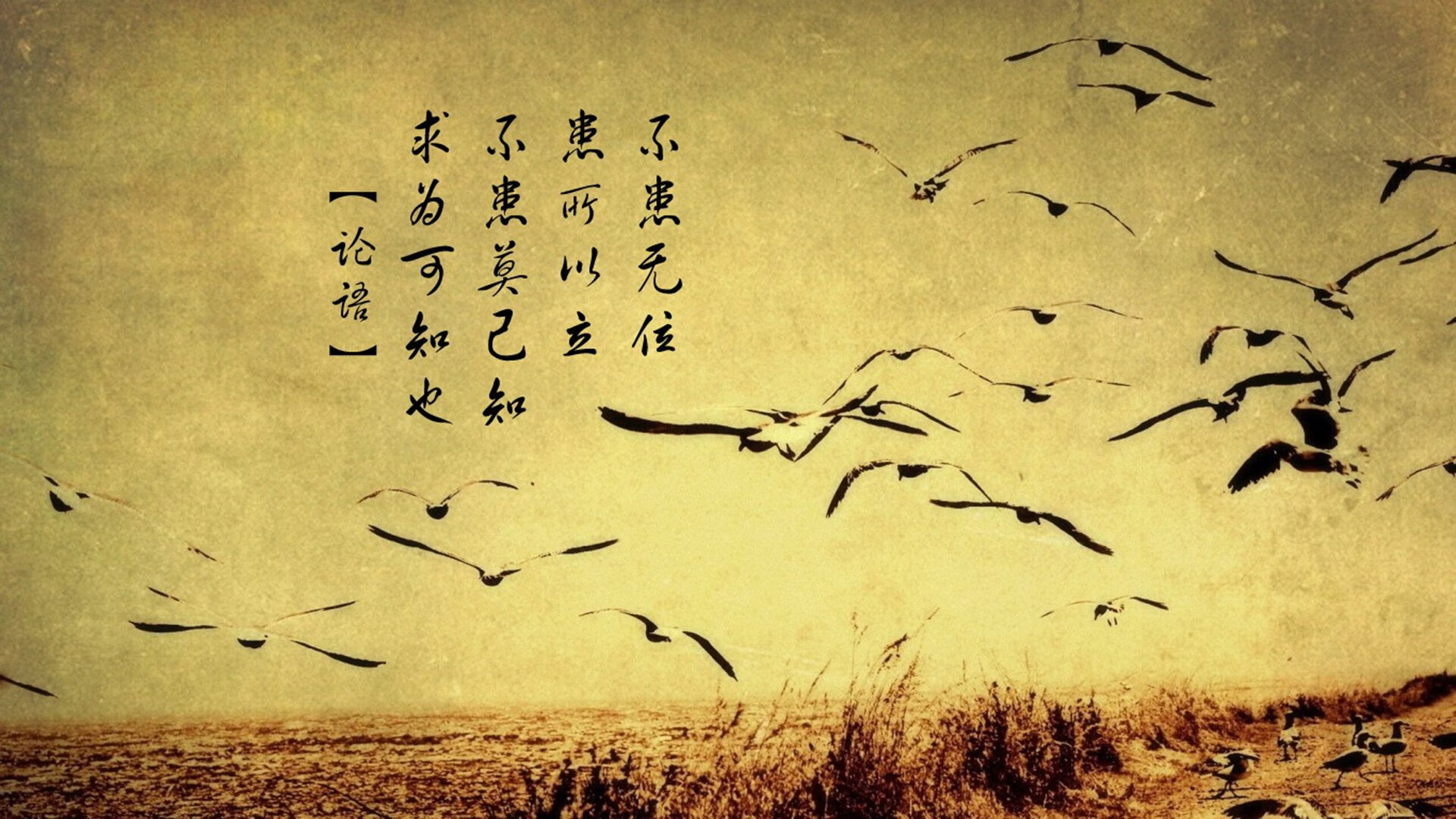 东契奇运筹帷幄,火箭奇兵制胜,一场掌控与突围的争冠启示